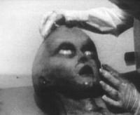 Alien Autopsy